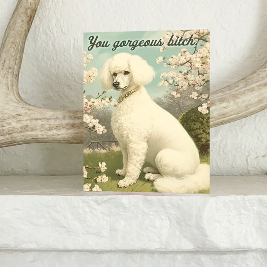 You Gorgeous Bitch Card